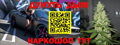 МДПВ Бердск