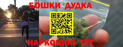 индика Будённовск
