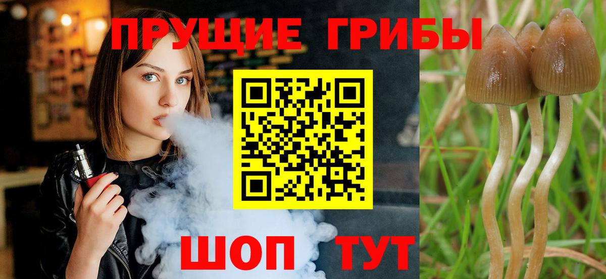Галлюциногенные грибы GOLDEN TEACHER Чехов