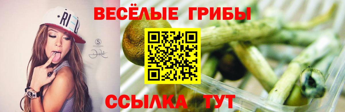 Псилоцибиновые грибы Cubensis  где купить наркоту  Чехов  Вход с VPN  Галлюциногенные грибы Magic Shrooms 